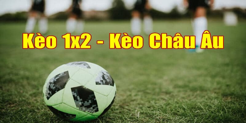 Kèo Châu Âu - Tìm Hiểu Cách Chơi Chi Tiết Cho Newbies