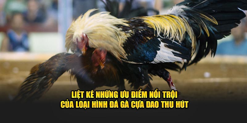 Liệt kê những ưu điểm nổi trội của loại hình Đá gà cựa dao thu hút