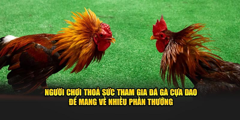 Người chơi thoả sức tham gia Đá gà cựa dao để mang về nhiều phần thưởng